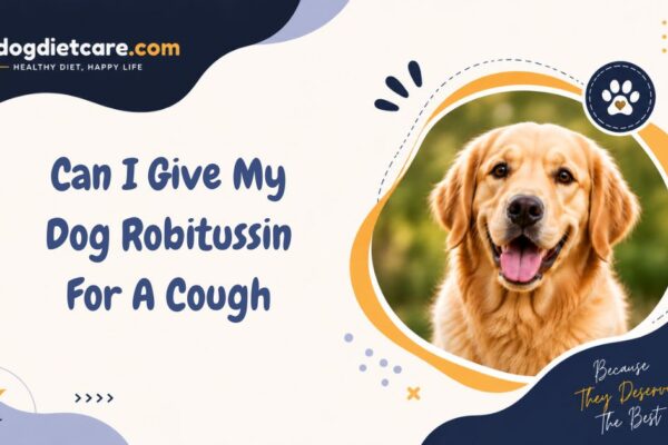Can I Give My Dog Robitussin For A Cough