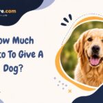 How Much Pepto To Give A Dog?
