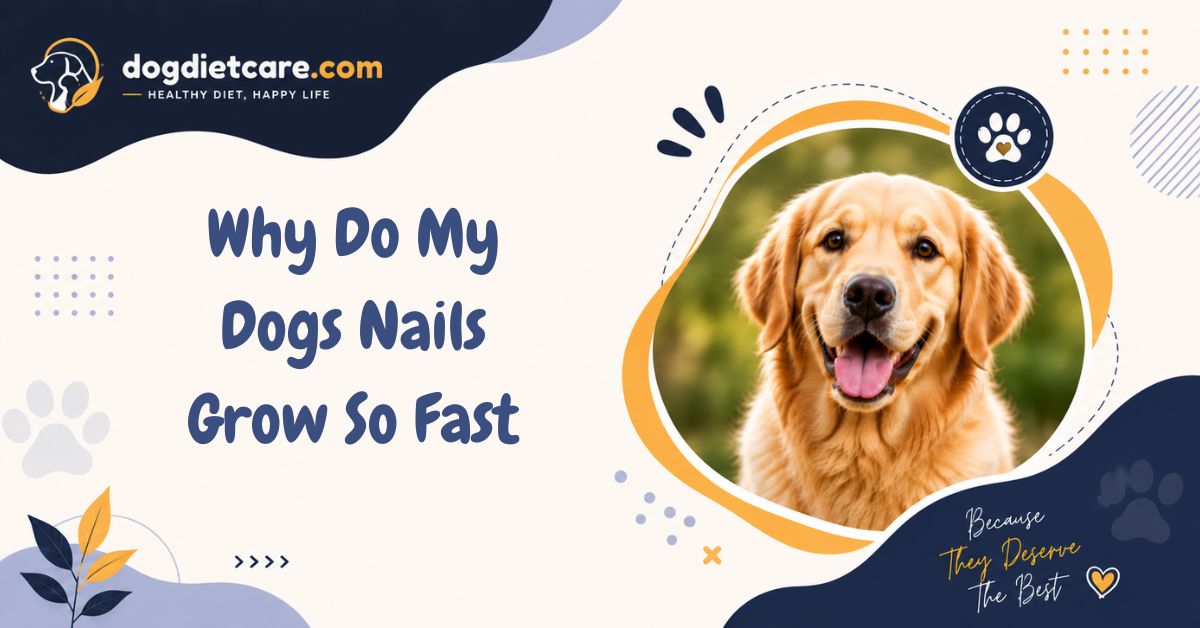Why Do My Dogs Nails Grow So Fast