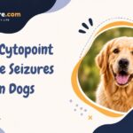 Can Cytopoint Cause Seizures In Dogs