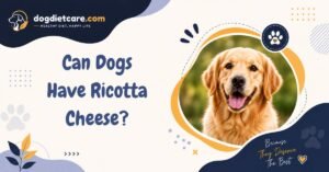 Can Dogs Have Ricotta Cheese?