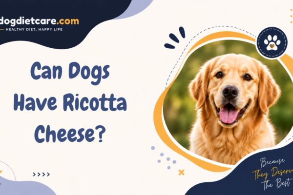 Can Dogs Have Ricotta Cheese?