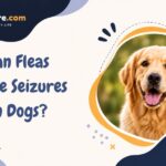 Can Fleas Cause Seizures In Dogs?