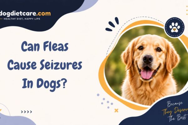 Can Fleas Cause Seizures In Dogs?