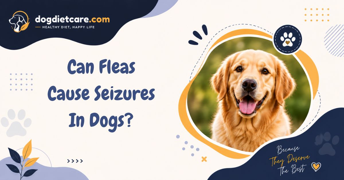 Can Fleas Cause Seizures In Dogs?