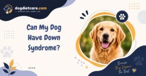 Can My Dog Have Down Syndrome?