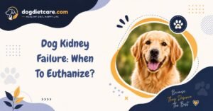 Dog Kidney Failure: When To Euthanize?