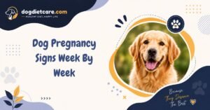 Dog Pregnancy Signs Week By Week