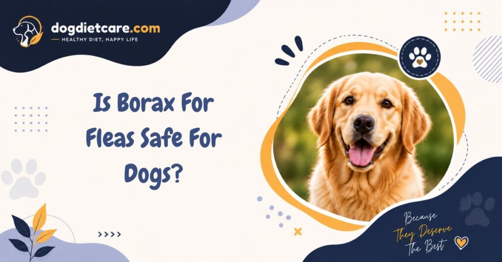 Is Borax For Fleas Safe For Dogs?