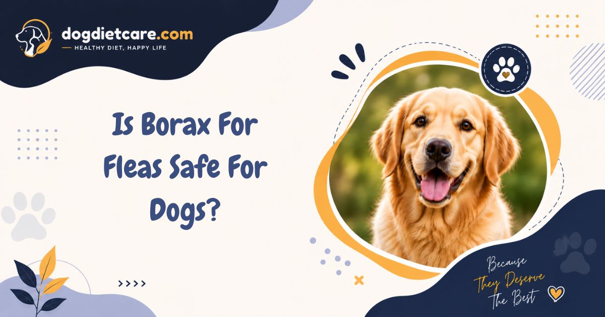 Is Borax For Fleas Safe For Dogs?