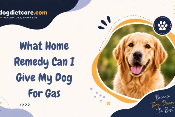 What Home Remedy Can I Give My Dog For Gas