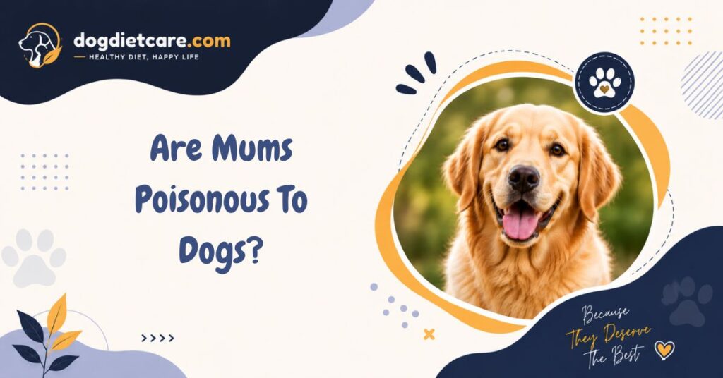 Are Mums Poisonous To Dogs?