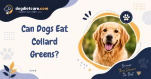 Can Dogs Eat Collard Greens?