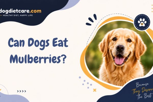 Can Dogs Eat Mulberries
