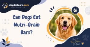 Can Dogs Eat Nutri-Grain Bars?