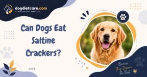 Can Dogs Eat Saltine Crackers?