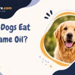 Can Dogs Eat Sesame Oil?