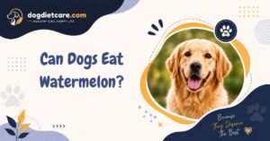 Can Dogs Eat Watermelon?