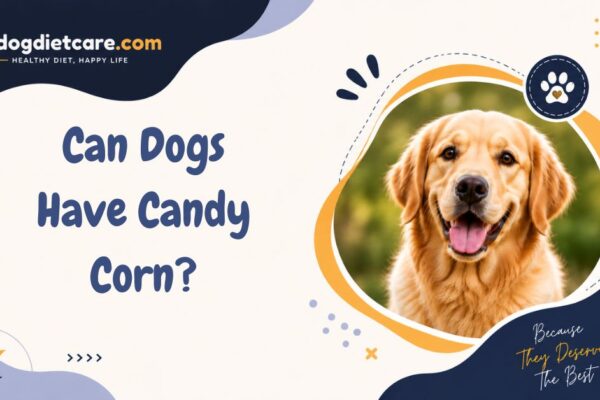 Can Dogs Have Candy Corn?