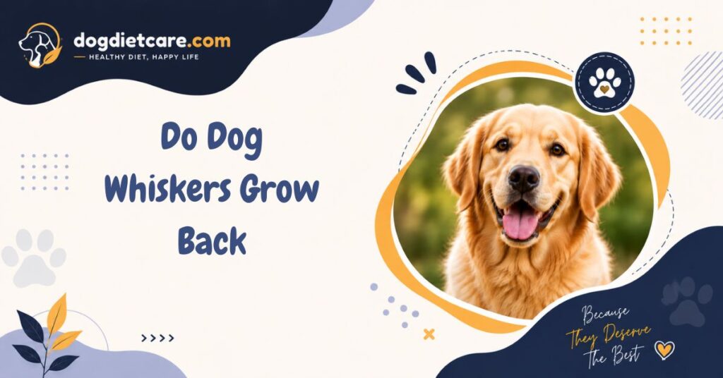Do Dog Whiskers Grow Back