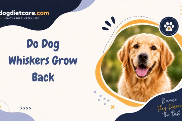 Do Dog Whiskers Grow Back