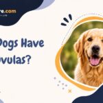 Do Dogs Have Uvulas?