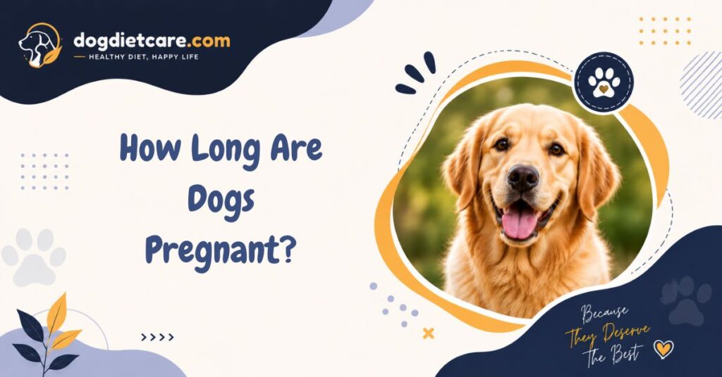 How Long Are Dogs Pregnant​?