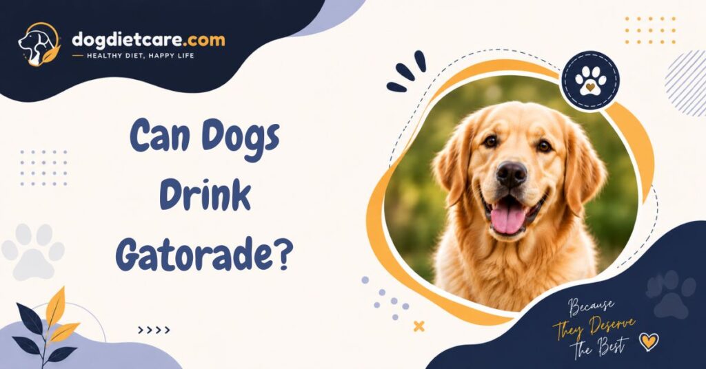 Can Dogs Drink Gatorade?