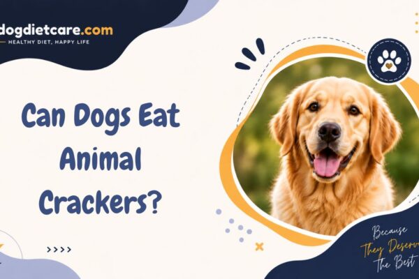 Can Dogs Eat Animal Crackers?