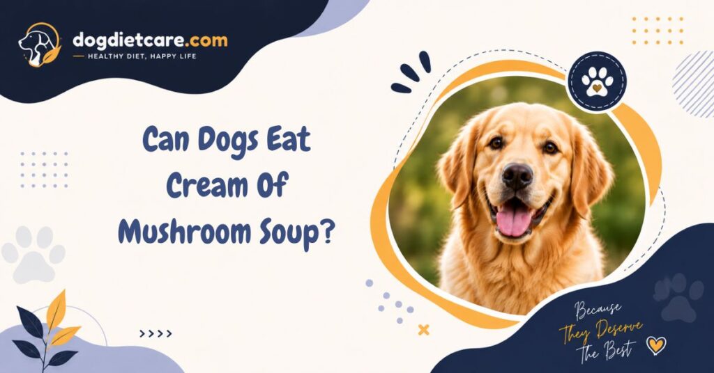 Can Dogs Eat Cream Of Mushroom Soup?