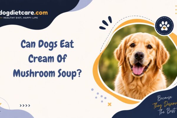Can Dogs Eat Cream Of Mushroom Soup?