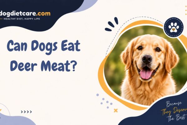 Can Dogs Eat Deer Meat?