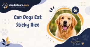 Can Dogs Eat Sticky Rice