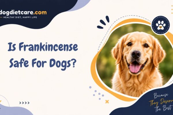 Is Frankincense Safe For Dogs?