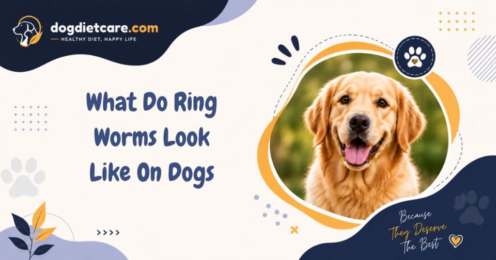 What Do Ring Worms Look Like On Dogs