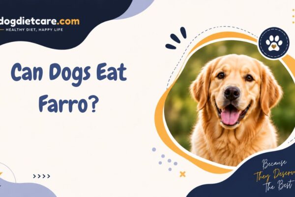 Can Dogs Eat Farro?