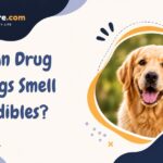 Can Drug Dogs Smell Edibles?