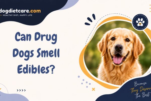Can Drug Dogs Smell Edibles?