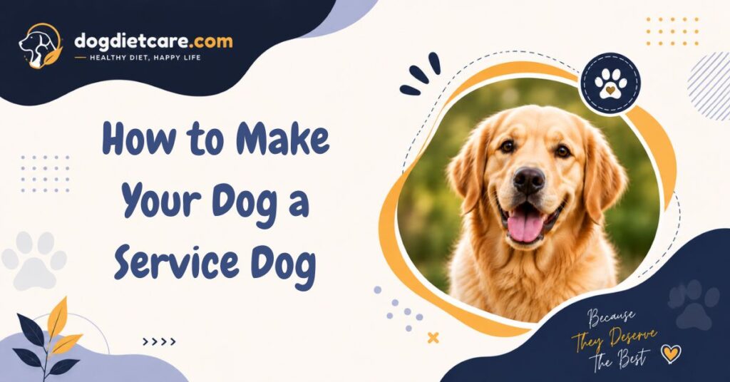 How to Make Your Dog a Service Dog