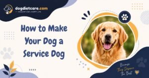 How to Make Your Dog a Service Dog
