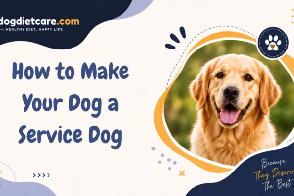 How to Make Your Dog a Service Dog
