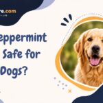 Is Peppermint Oil Safe for Dogs?