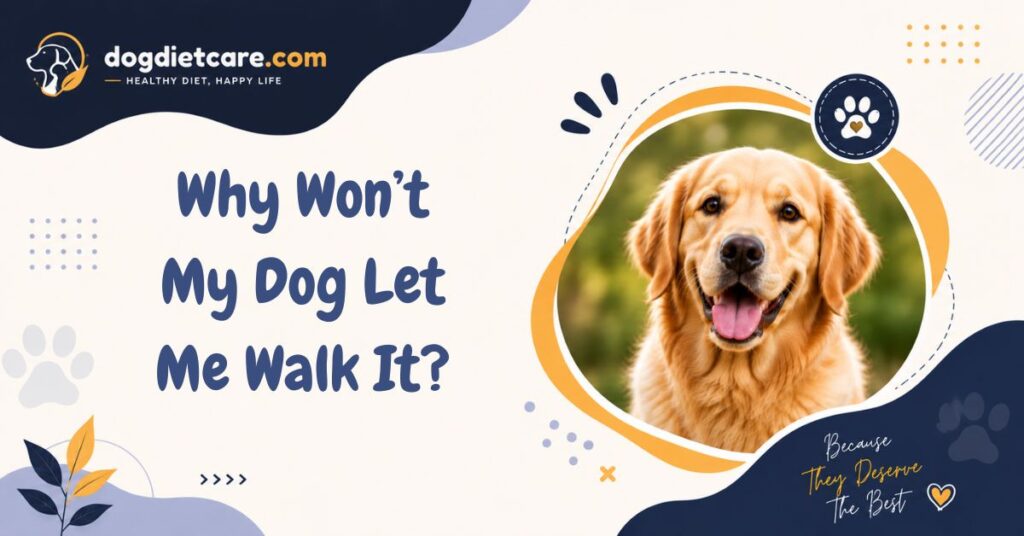 Why Won’t My Dog Let Me Walk It?