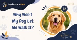 Why Won’t My Dog Let Me Walk It?
